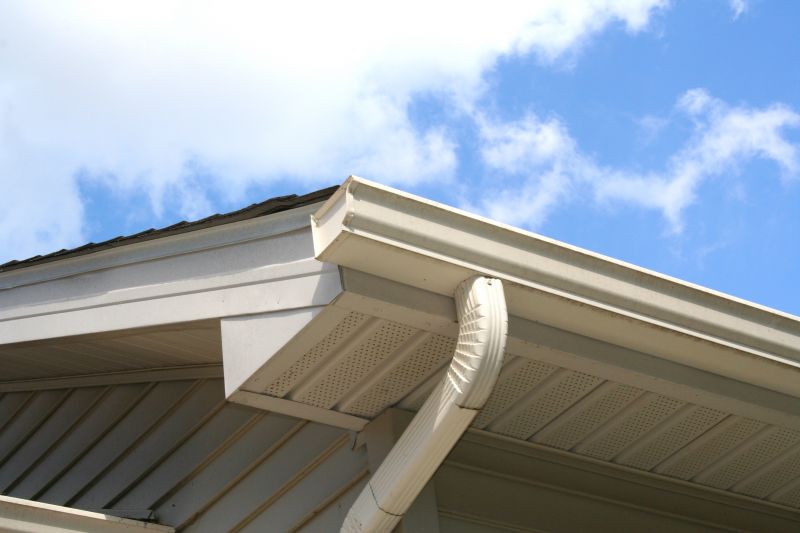 Gutter and Roofline