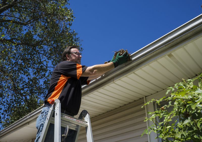 Summer Gutter Maintenance