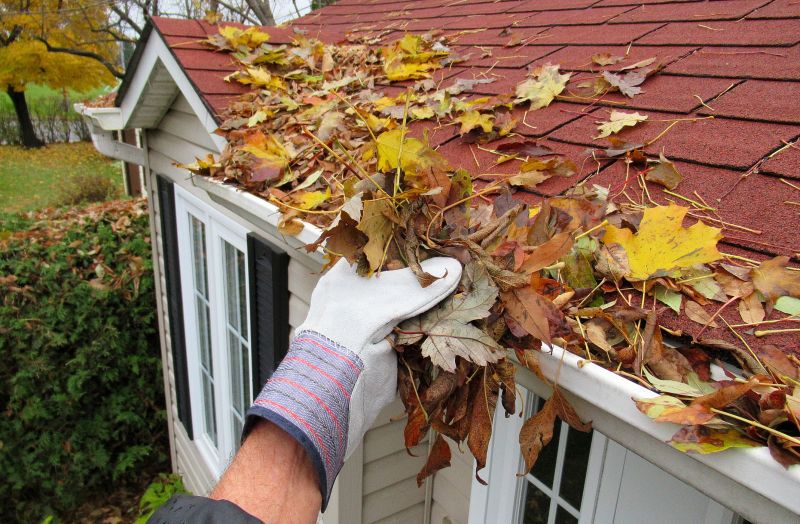 Fall Gutter Inspection